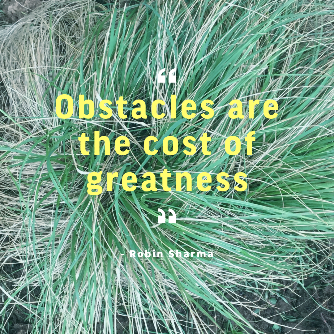 obstacle greatness